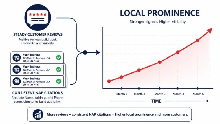 Chart showing how consistent citations and steady reviews build local SEO prominence